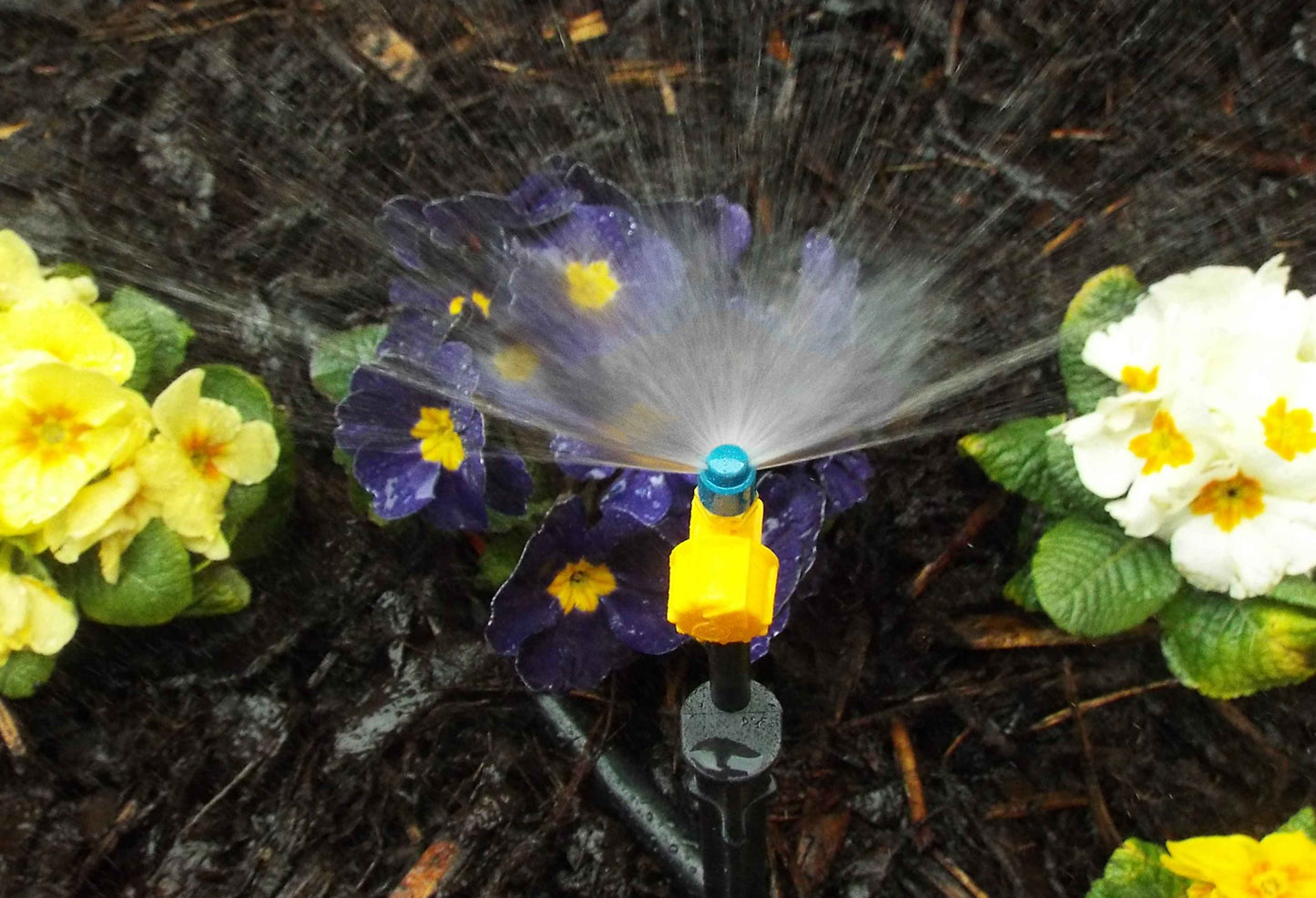Antelco Vari-Jet 180 Degree Blue Cap Yellow Base Lawn Sprinkler Micro Irrigation