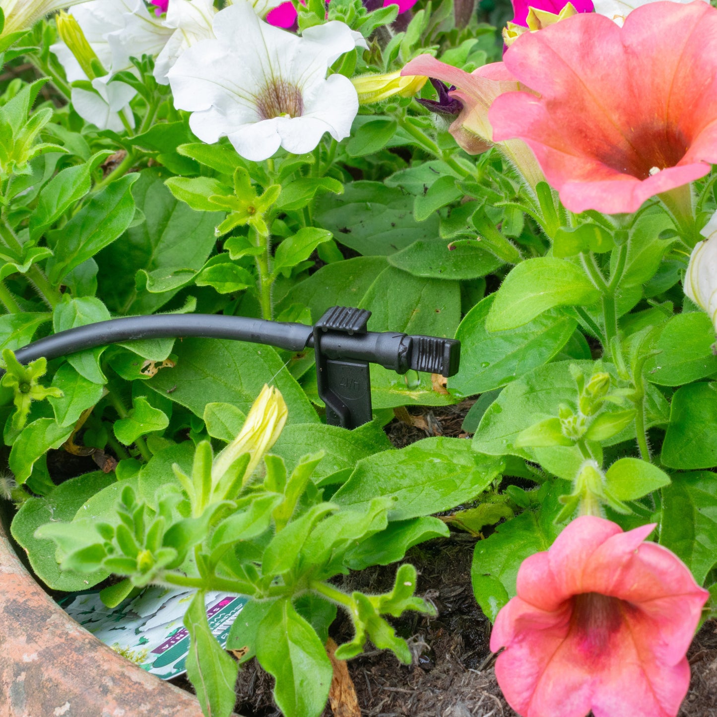 Antelco Midi Drip Dripper Emitters On Spike Barb Connector Micro Watering System