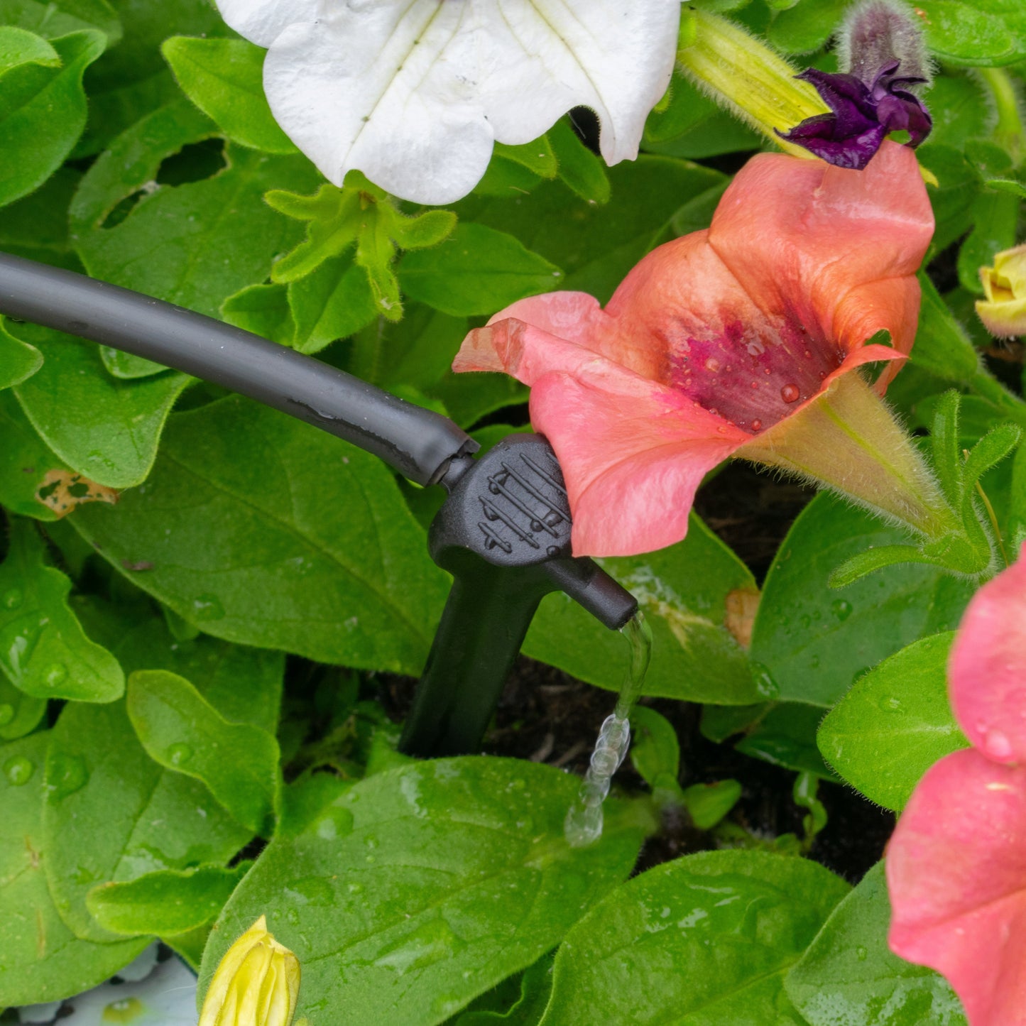 Antelco Asta Drip 4L H Pressure Compensating Spike Drippers Outdoor Watering Kit