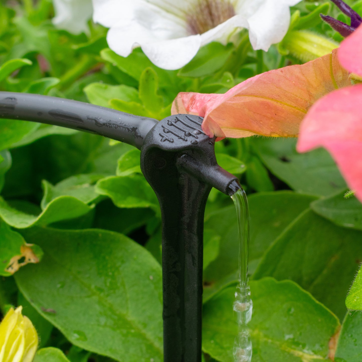 Antelco Asta Drip 4L H Pressure Compensating Spike Drippers Outdoor Watering Kit