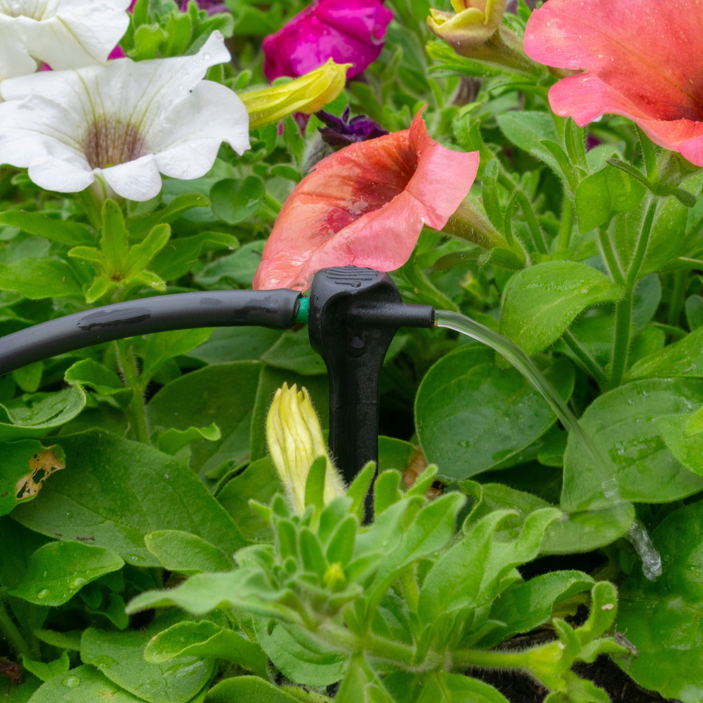 Antelco Asta Drip 8L H Pressure Compensating Spike Drippers Outdoor Watering Kit
