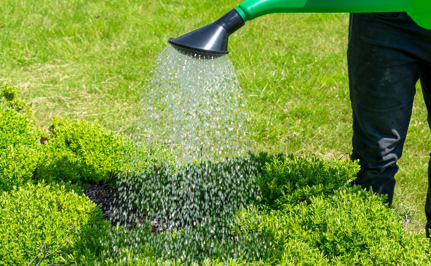 Garden Watering Can 10 Litres DIY Workshop Accessory Outdoor Hose Accessory