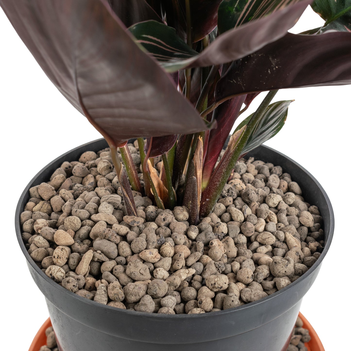 Expanded Clay Aggregate, KERAMZYT, Grade 4-8mm for Home and Garden Use