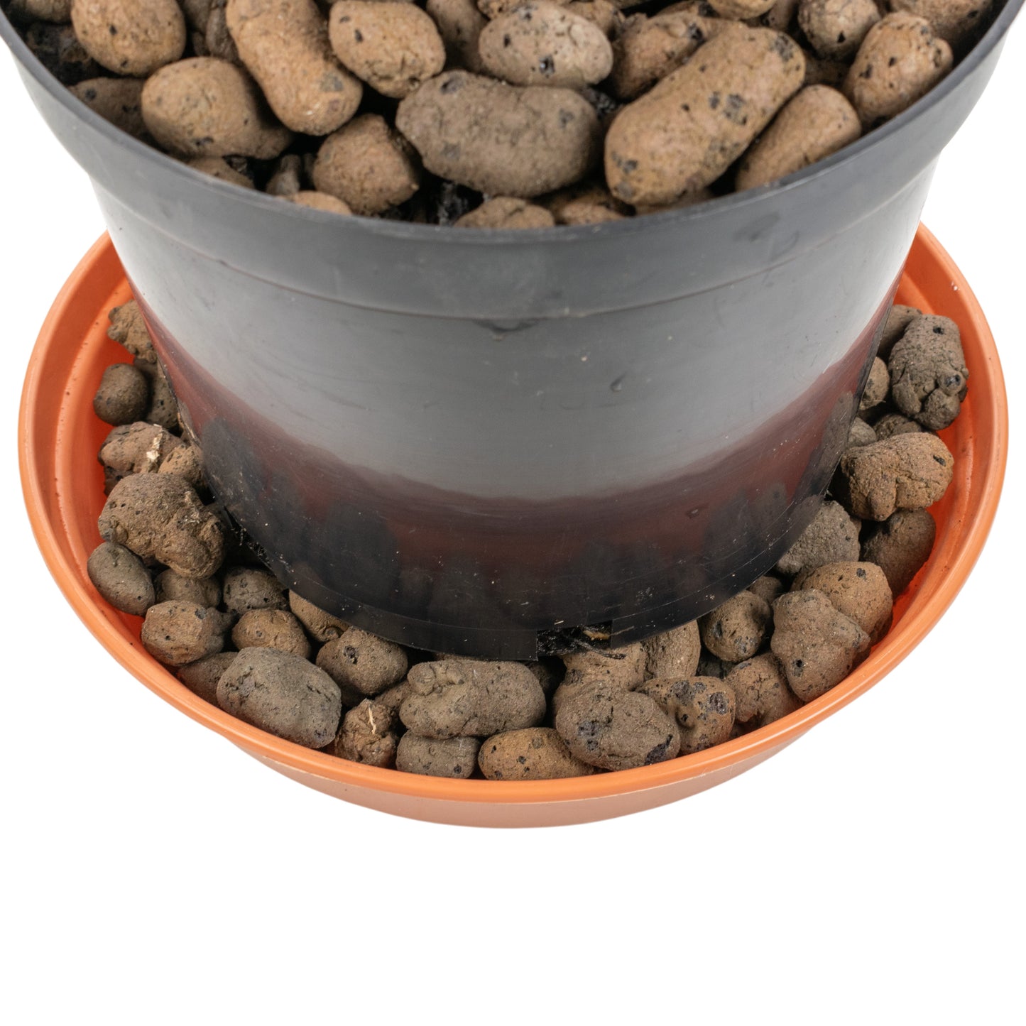 Expanded Clay Aggregate, KERAMZYT, Grade 8-16mm for Micro Watering System