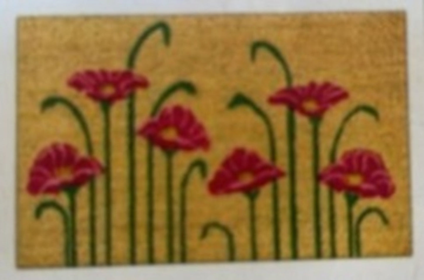 Doormat 60cm x 40cm - Poppy - Absorbent Coir Mat for Indoor Outdoor