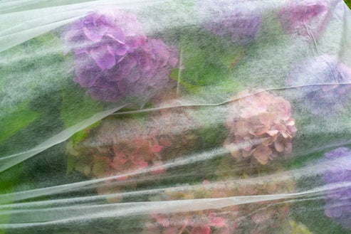 AP Supplies 50g Non-Woven Weed Membrane 3.2m x 5m (Copy)