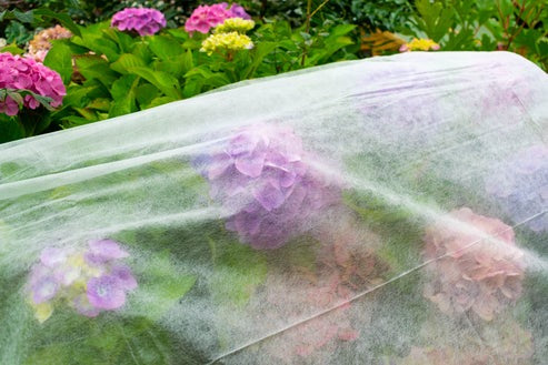 AP Supplies 50g Non-Woven Weed Membrane 3.2m x 5m (Copy)