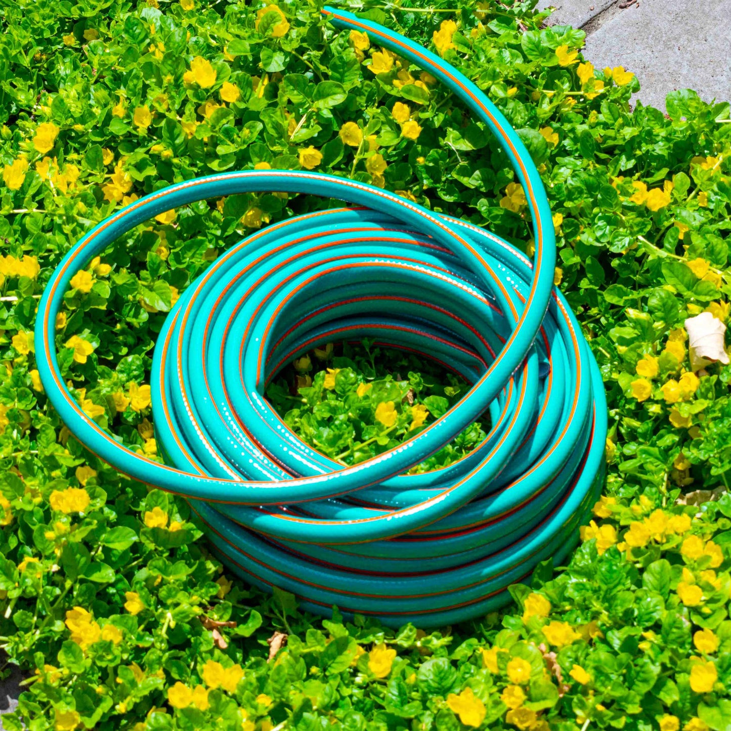 AP Supplies Garden Hose Set Economy Pipe (Black Connectors) - 6m kit