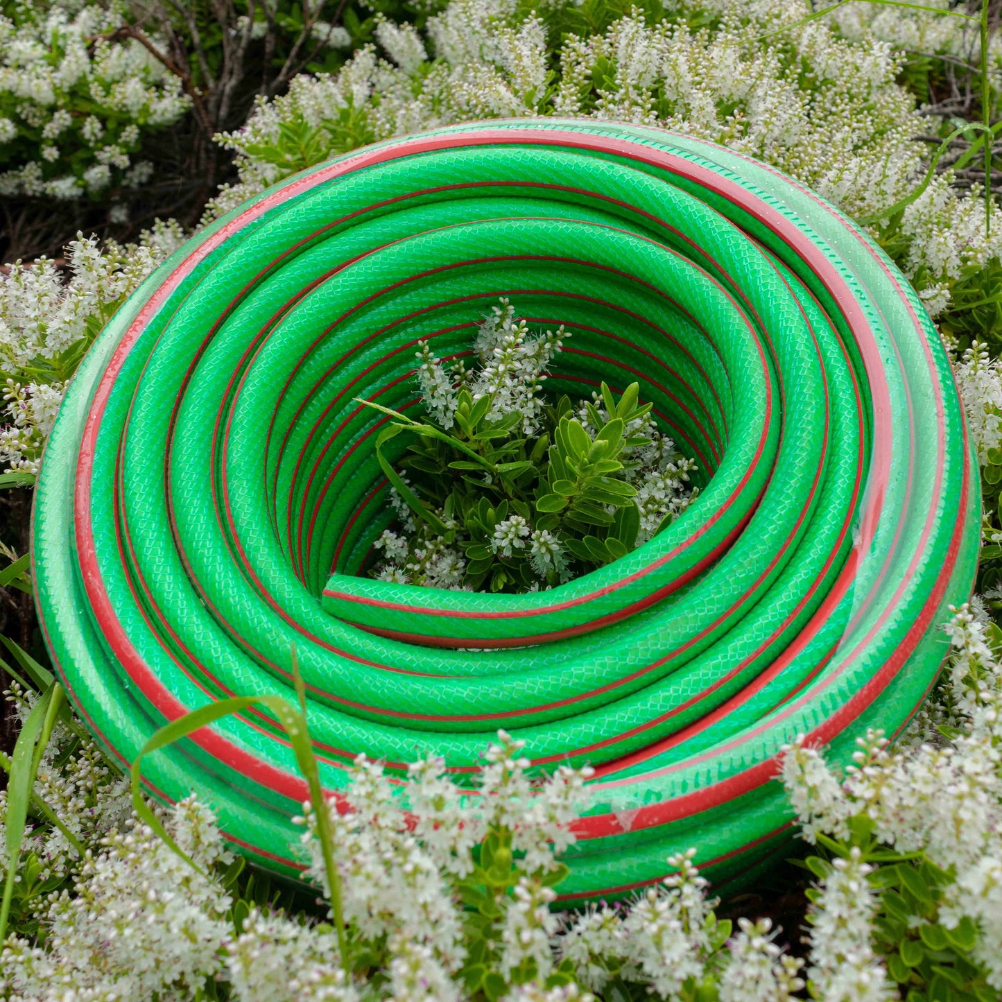 Premium Garden Hose 6-Layer 1/2in Pipe Green Outdoor Watering Kit Lawn Sprinkler
