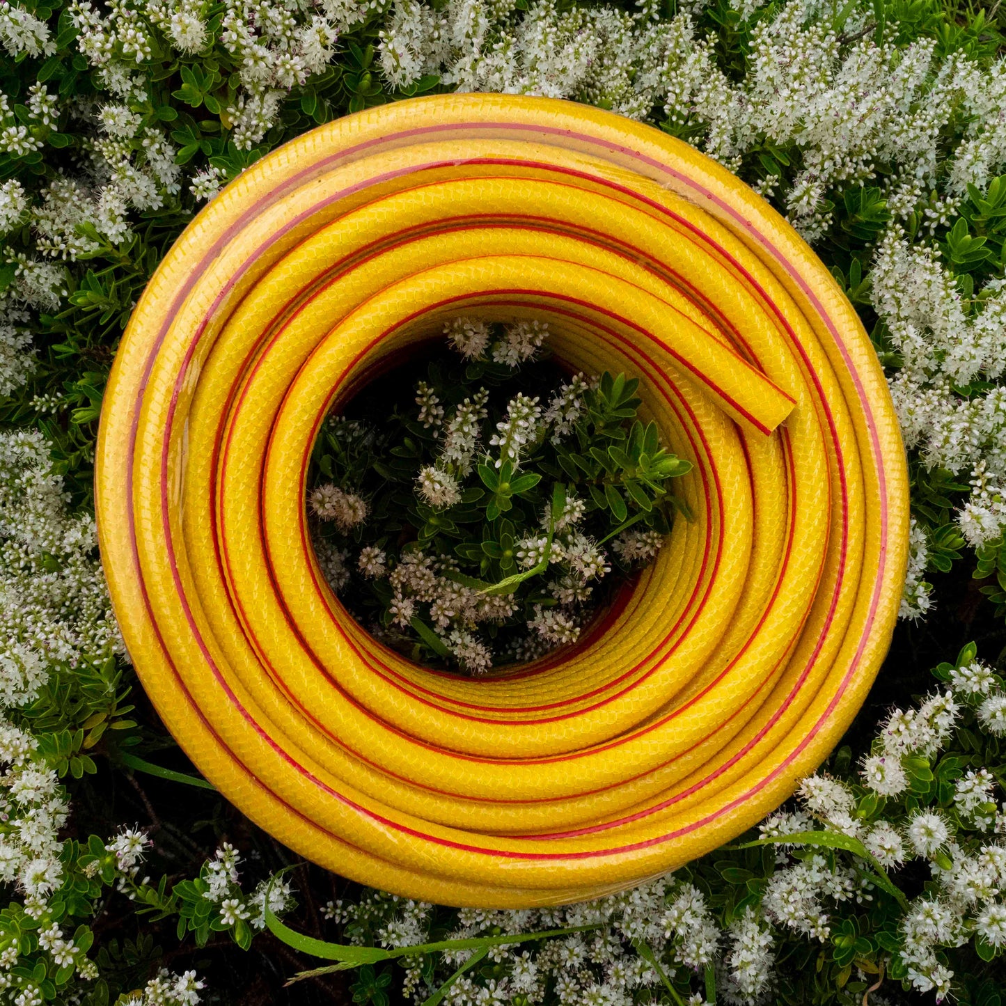 Premium Garden Hose 6-Layer 1/2in Pipe Yellow Water Flow Control Garden Watering