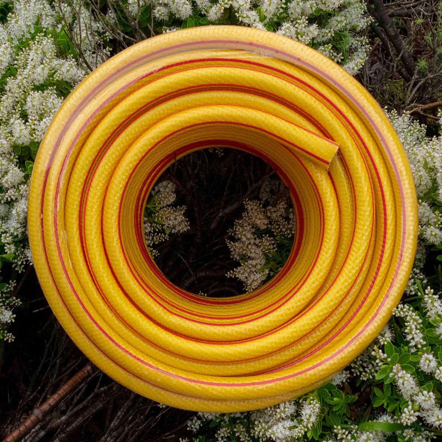 Premium Garden Hose 6-Layer 1/2in Pipe Yellow Water Flow Control Garden Watering
