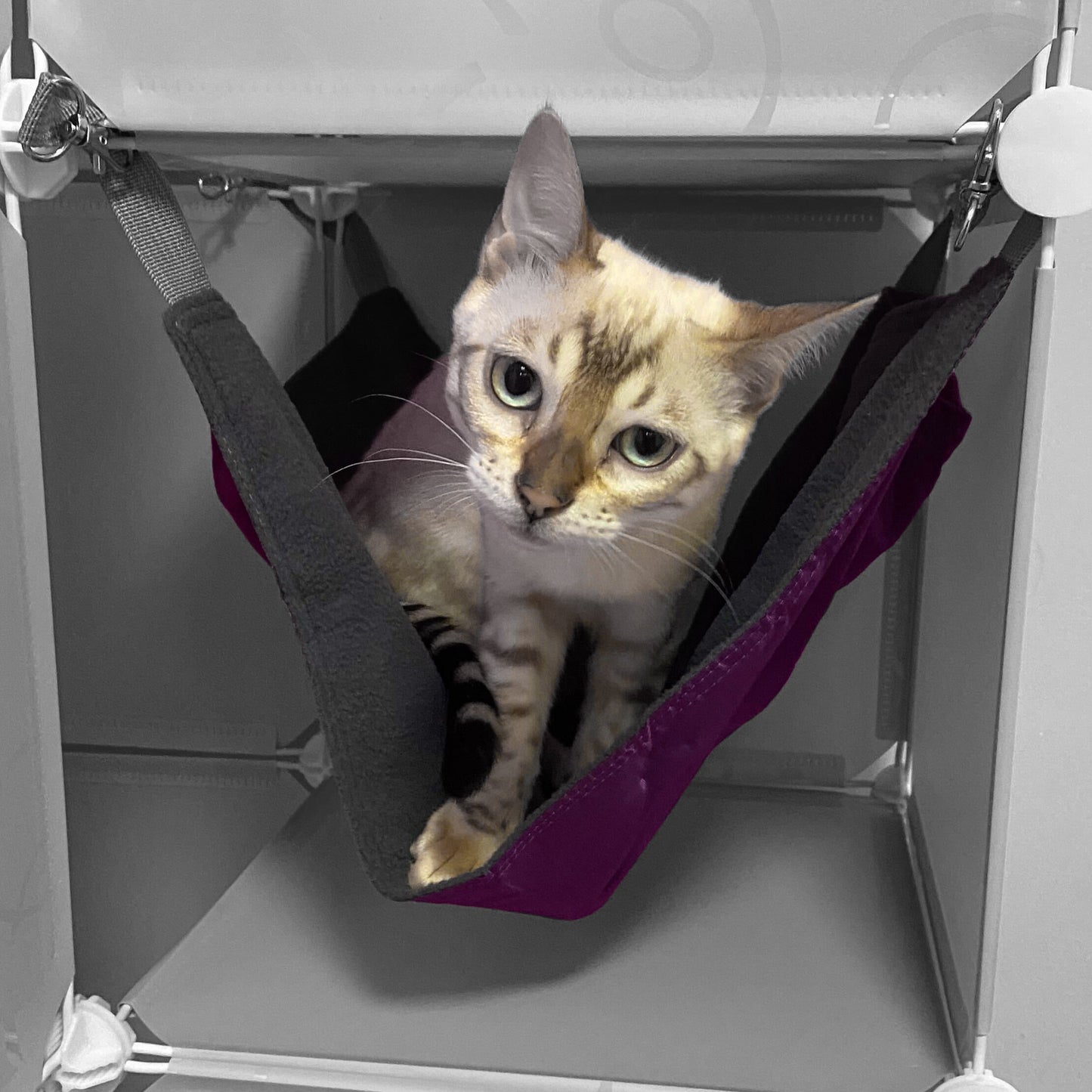 Kitty Cubby Cat Cube Play Tower MAXI Weatherproof Cover Pet and Pond Supply