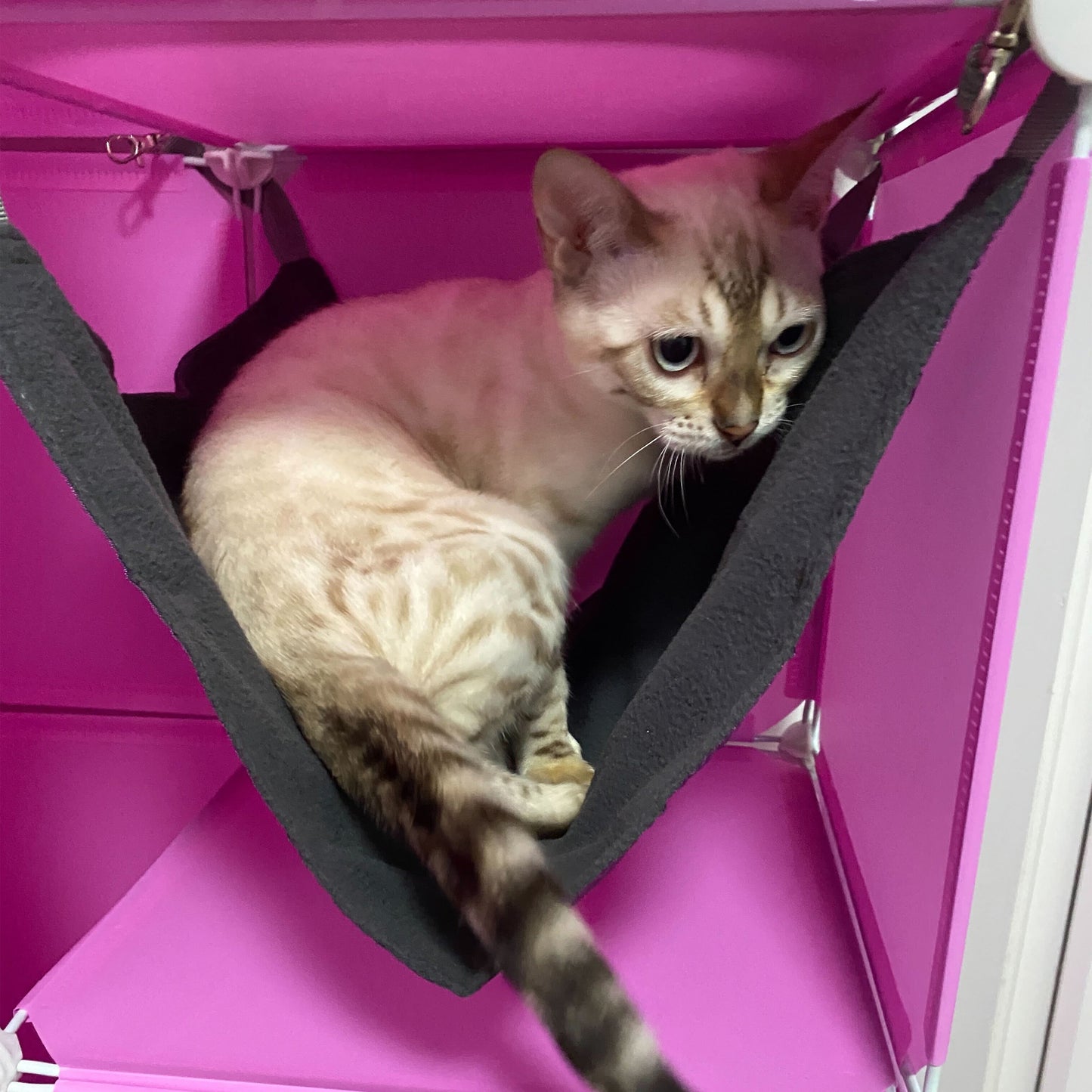 Kitty Cubby Cat Cube Play Tower MAXI Weatherproof Cover Pet and Pond Supply