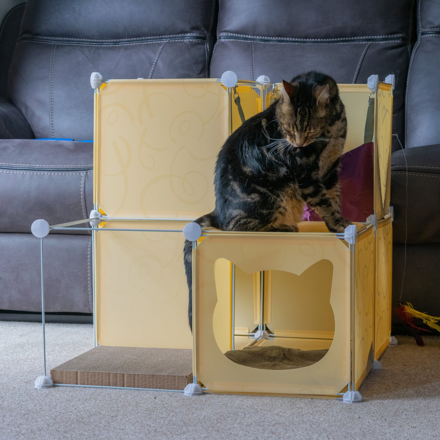 Kitty Cubby Cat Cube Play Tower MIDI Weatherproof Cover Pet and Pond Supply
