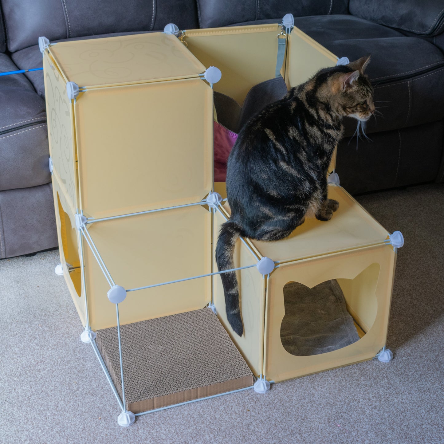 Kitty Cubby Cat Cube Play Tower MIDI Weatherproof Cover Pet and Pond Supply