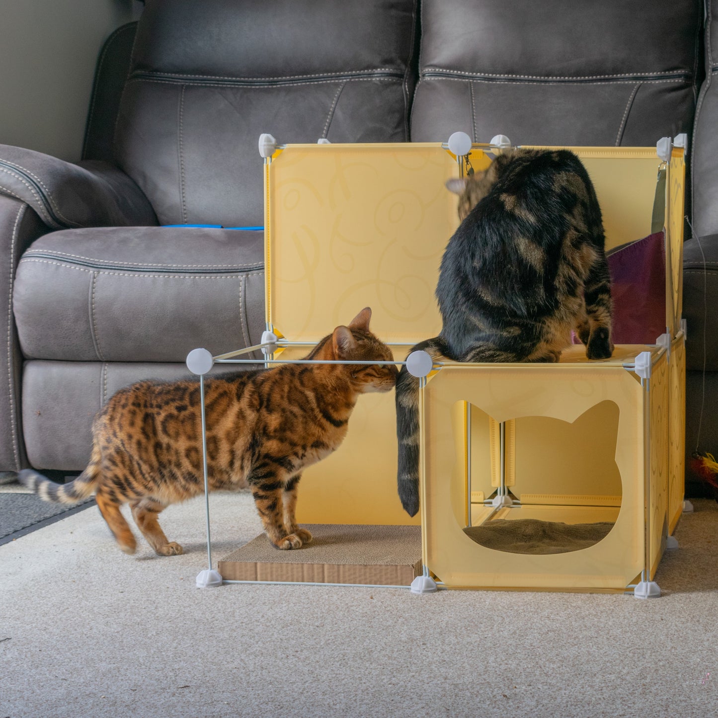 Kitty Cubby Cat Cube Play Tower MIDI Weatherproof Cover Pet and Pond Supply