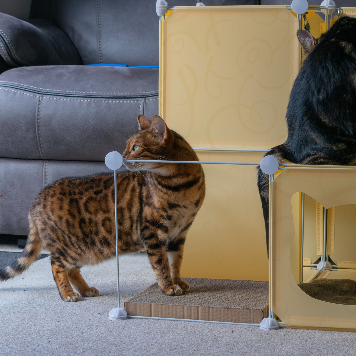 Kitty Cubby Cat Cube Play Tower MIDI Weatherproof Cover Pet and Pond Supply