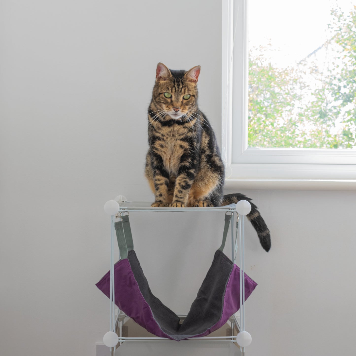Kitty Cubby Cat Cube Play Tower MIDI Weatherproof Cover Pet and Pond Supply