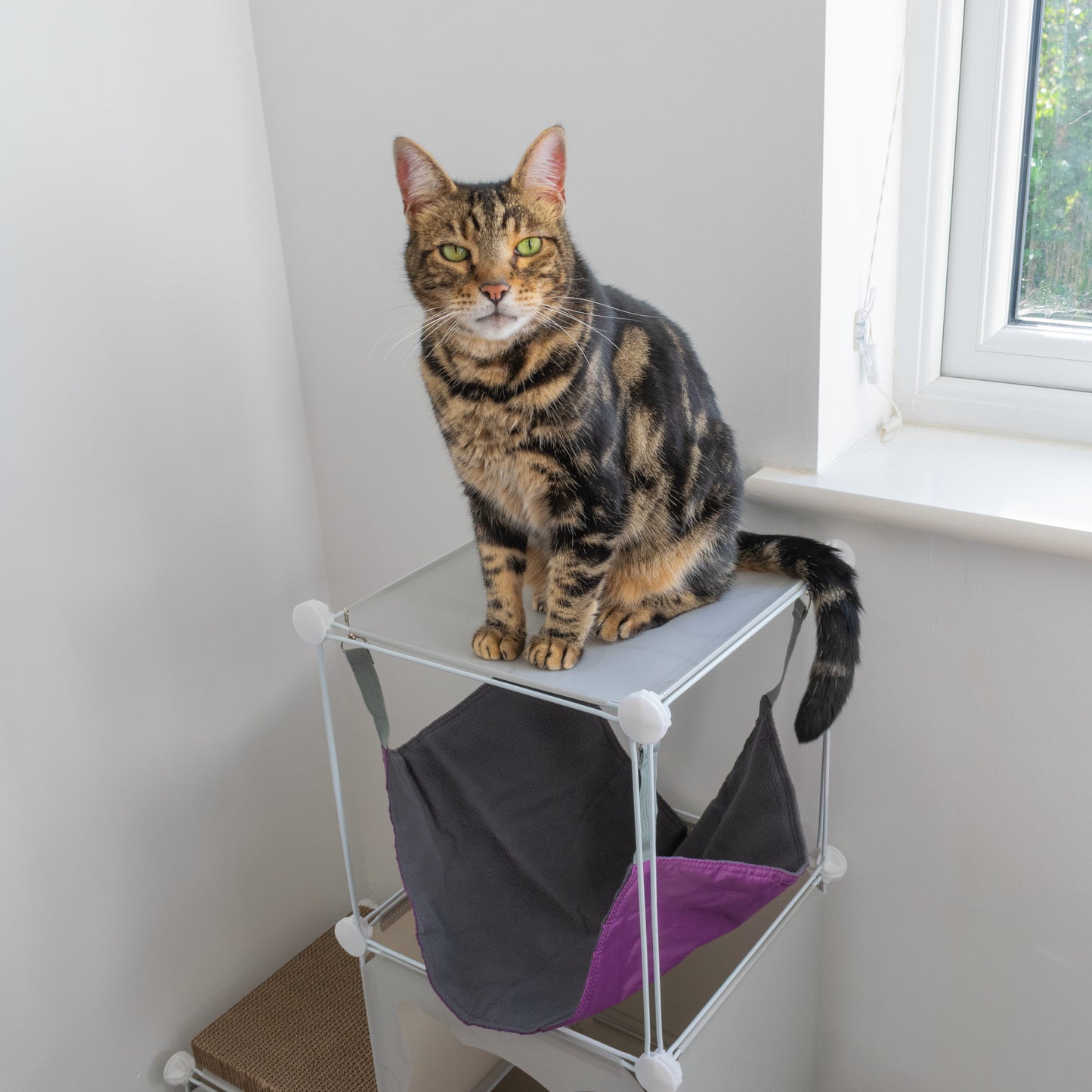 Kitty Cubby Cat Cube Play Tower MIDI Weatherproof Cover Pet and Pond Supply