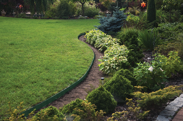 Lawn Border Set, Easy Border 50mm Green 10m with Pegs for Home and Garden Use
