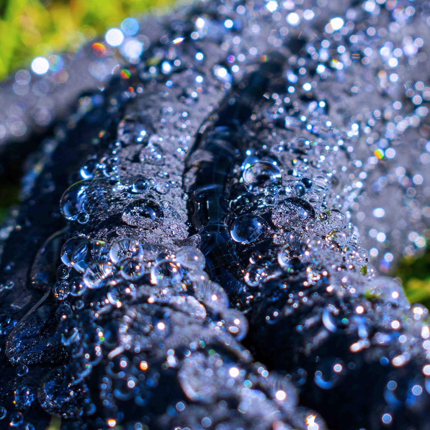AP Supplies Porous Pipe Soaker Hose Cost Wise 200m