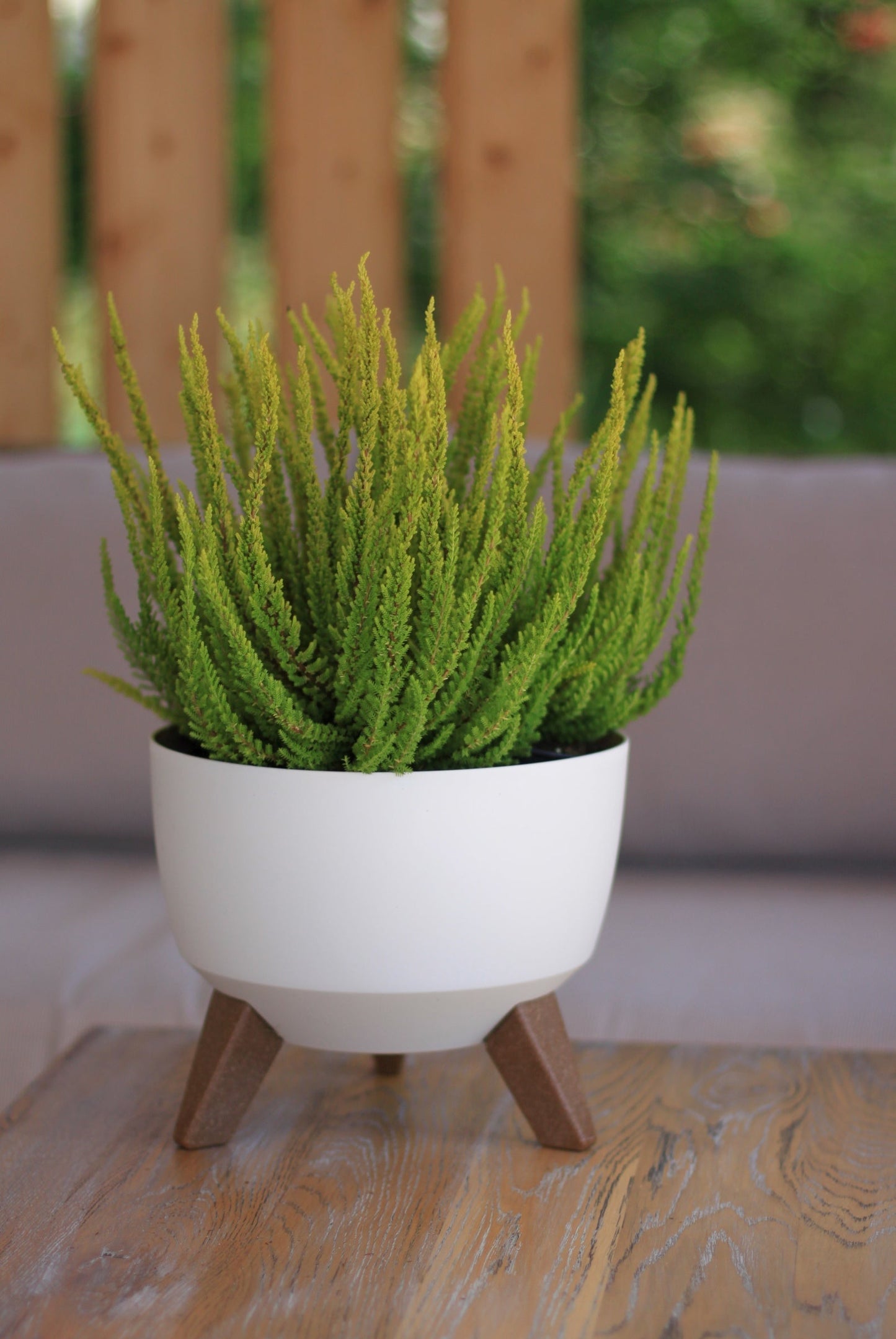 AP Supplies Roma Bowl Pot with Legs, Insert and Hole with Plug 240mm White