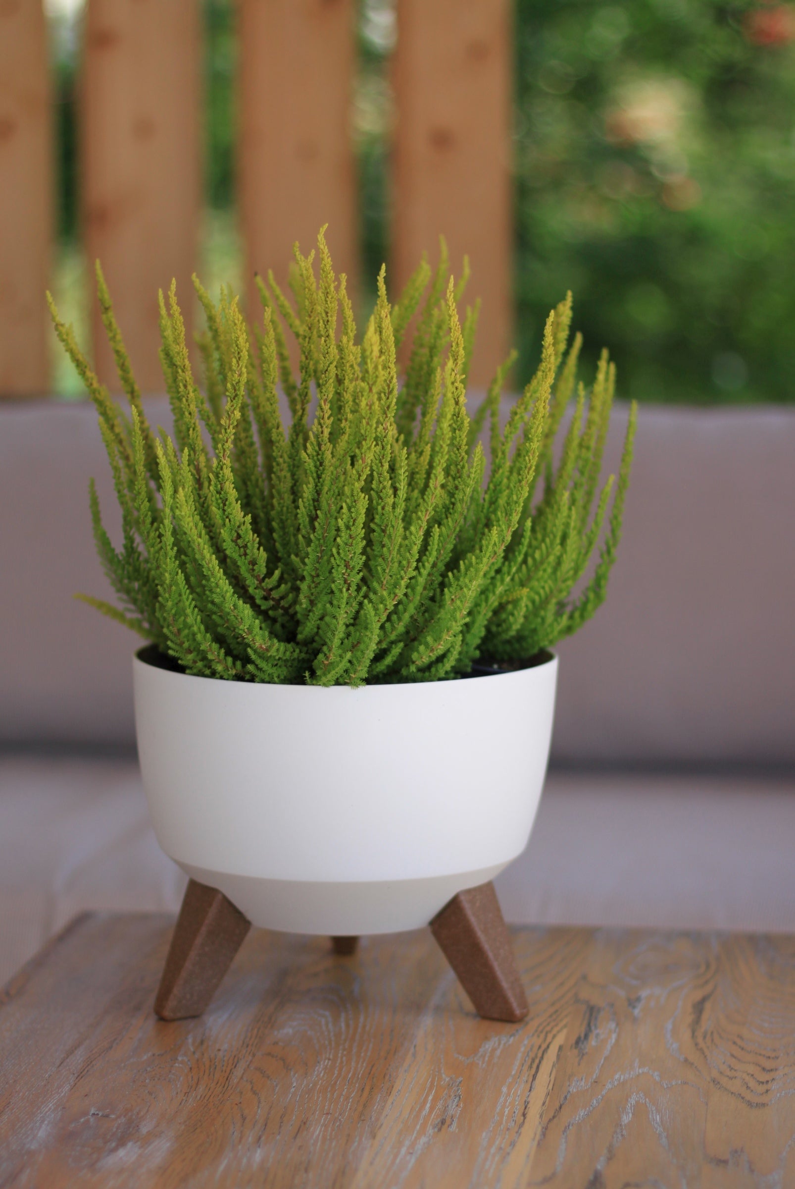 AP Supplies Roma Bowl Pot with Legs, Insert and Hole with Plug 240mm White