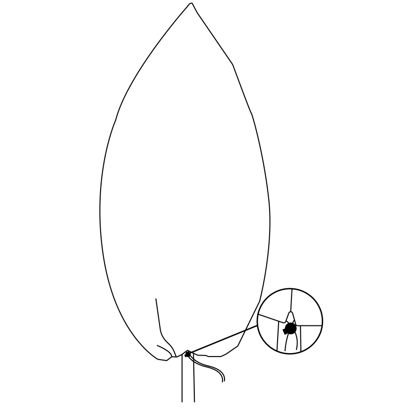 AP Supplies Protective Plant Cover, 50gsm Sack with Cord, Diameter: 38 cm, Size: 0.6m × 0.8 m