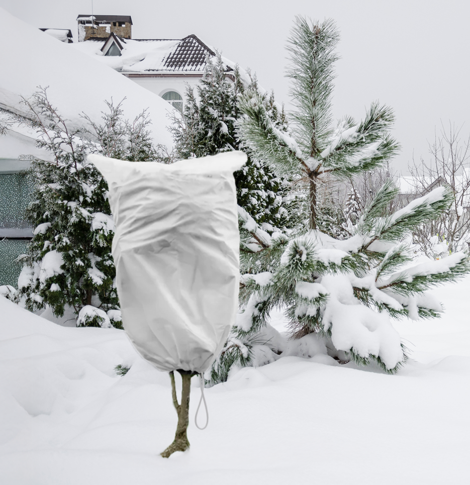 AP Supplies Protective Plant Cover, 50gsm Sack with Cord, Diameter: 57 cm, Size: 0.9m × 1.5m