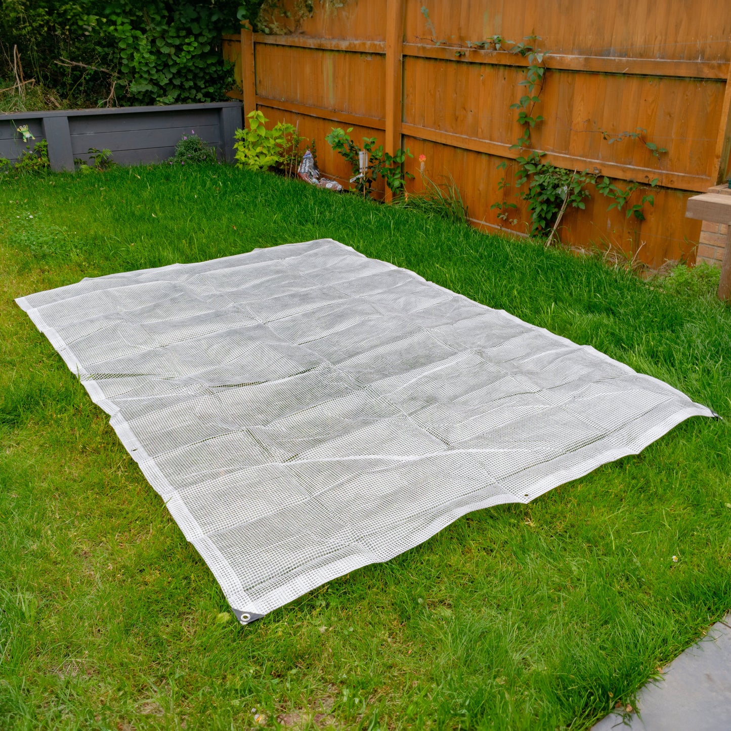 AP Supplies Clear M-Grade Tarpaulin with 10 Metres of 6mm Bungee Rope - 2m x 3m