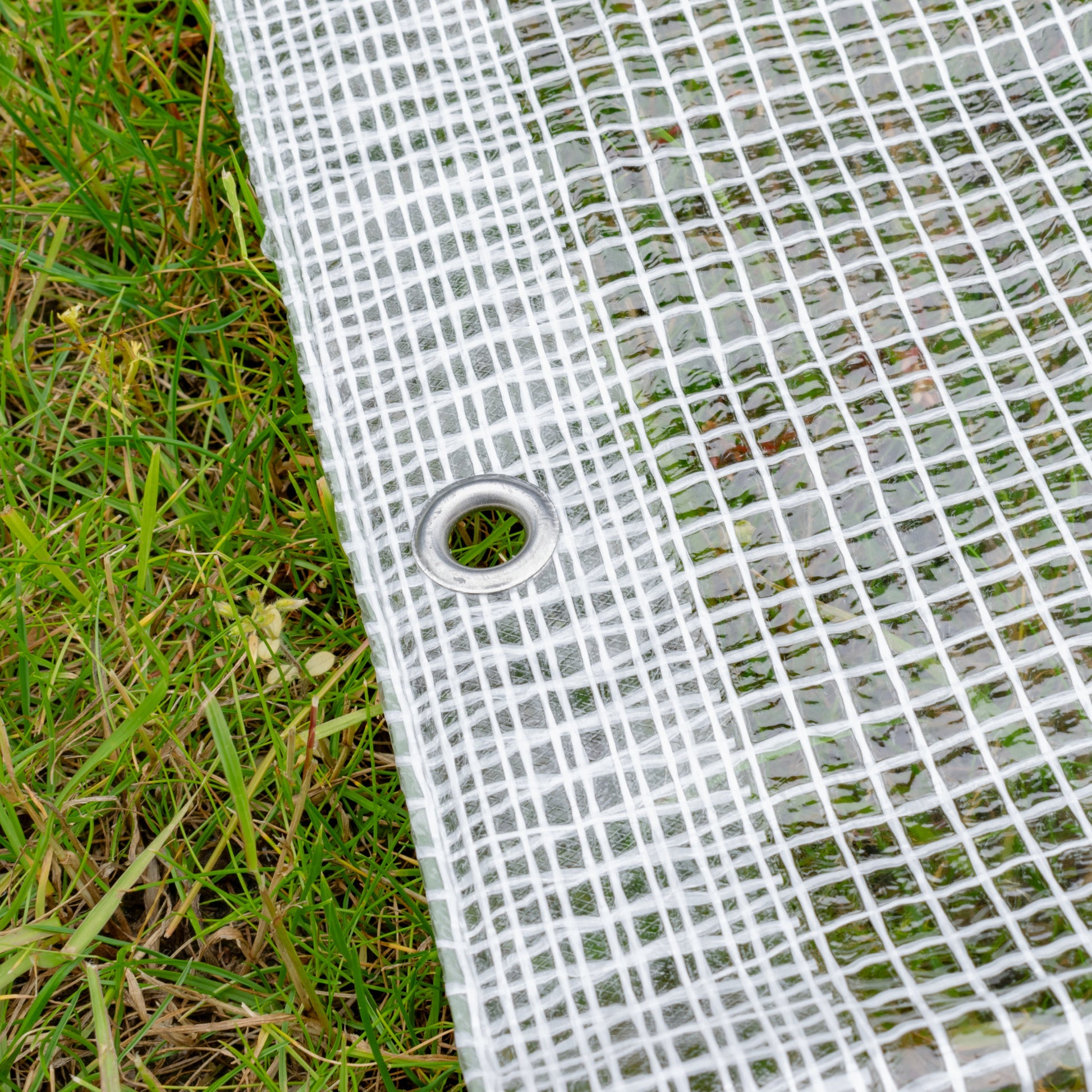 AP Supplies Clear M-Grade Tarpaulin with 10 x 6" Bungee Balls (Black) and 10 x Screw Type Tarp Clips - 4m x 4m