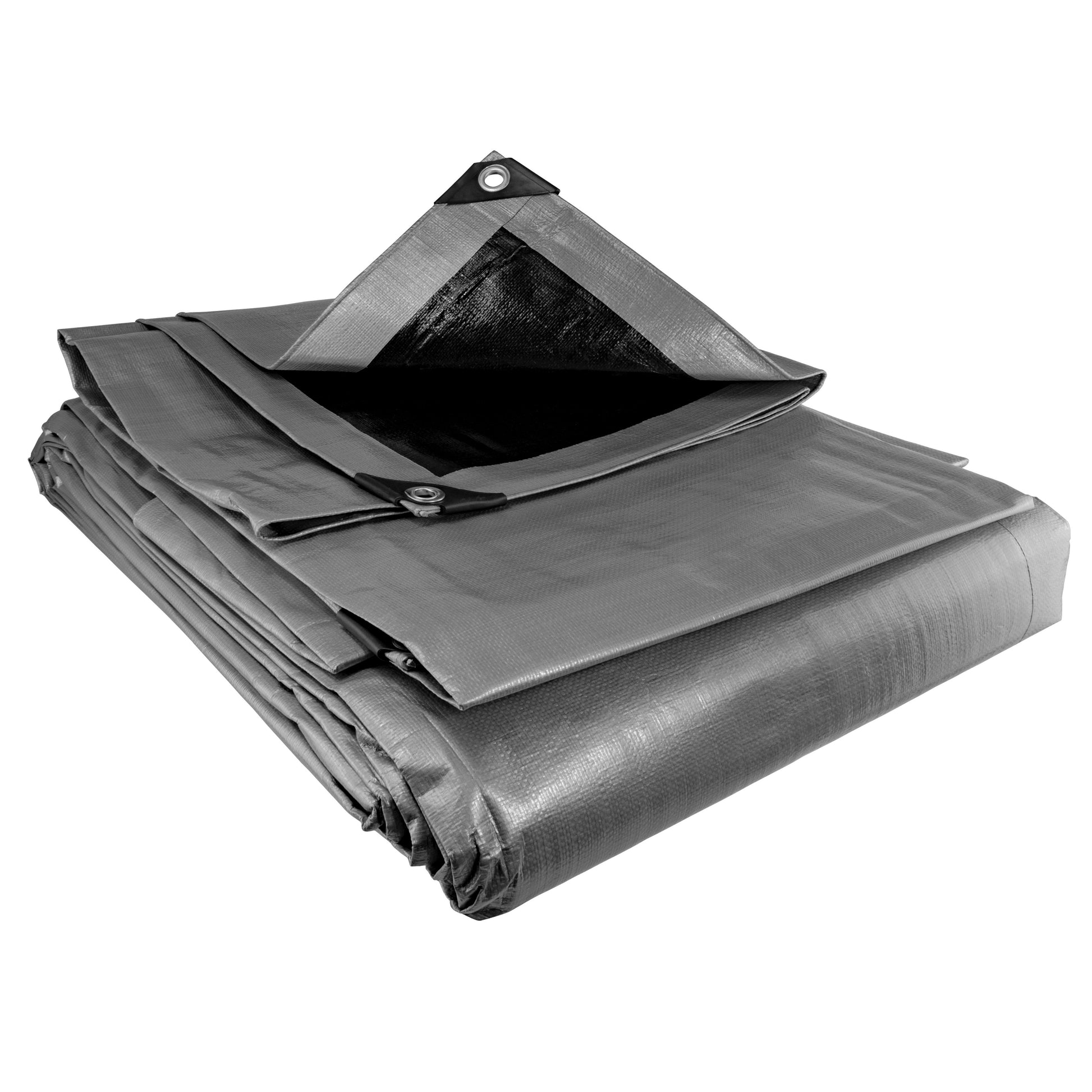 AP Supplies Silver XL-Grade Tarpaulin with 10m of 6mm Bungee Rope and 10 x Screw Type Tarp Clips - 4m x 4m