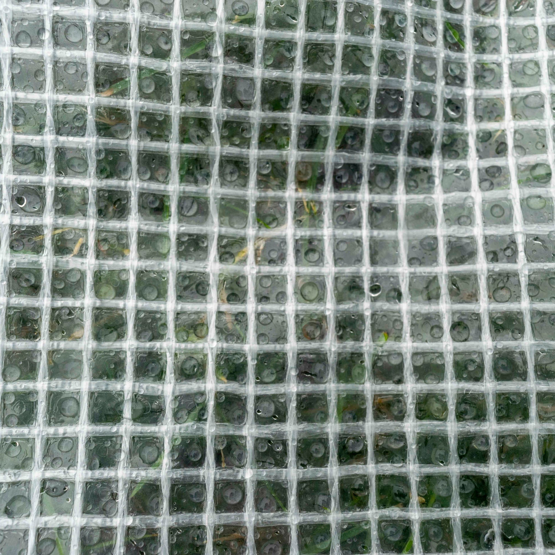 AP Supplies Clear XL-Grade Tarpaulin with 10m of 6mm Bungee Rope and 10 x Slide Type Tarp Clips - 4m x 6m