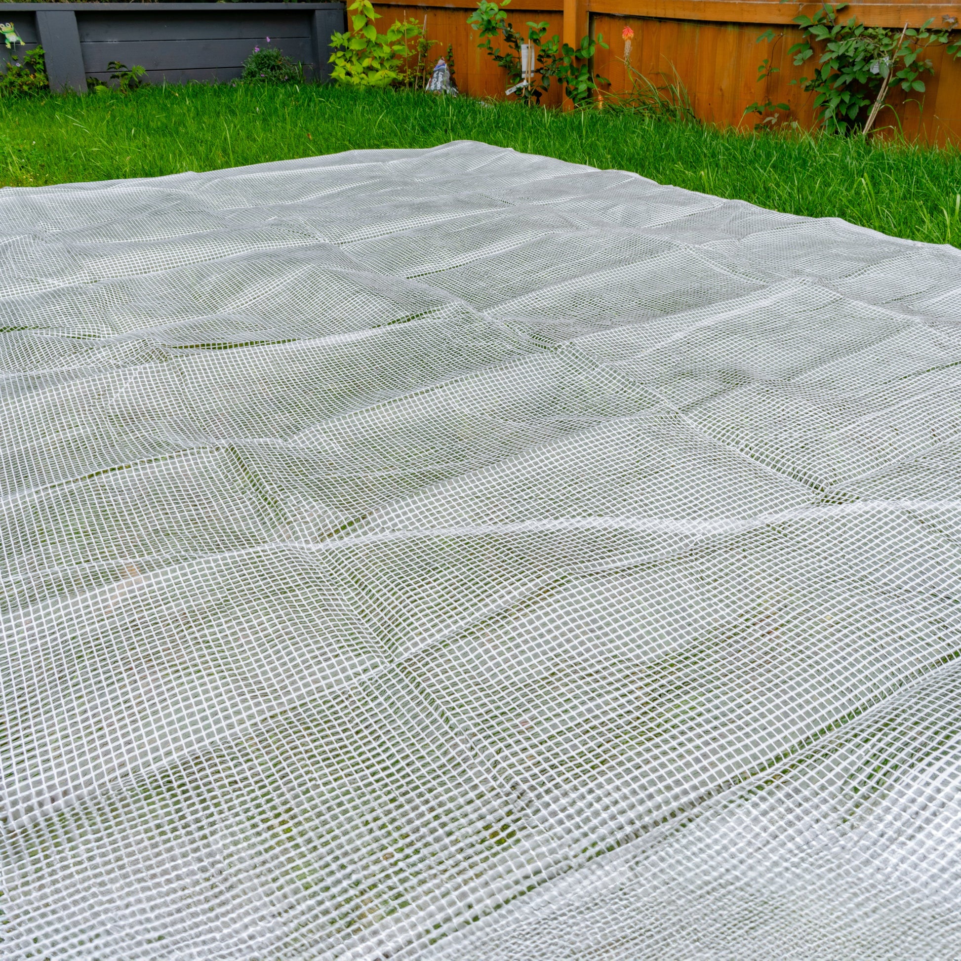 AP Supplies Clear XL-Grade Tarpaulin with Bungee Balls (Black) - 4m x 5m