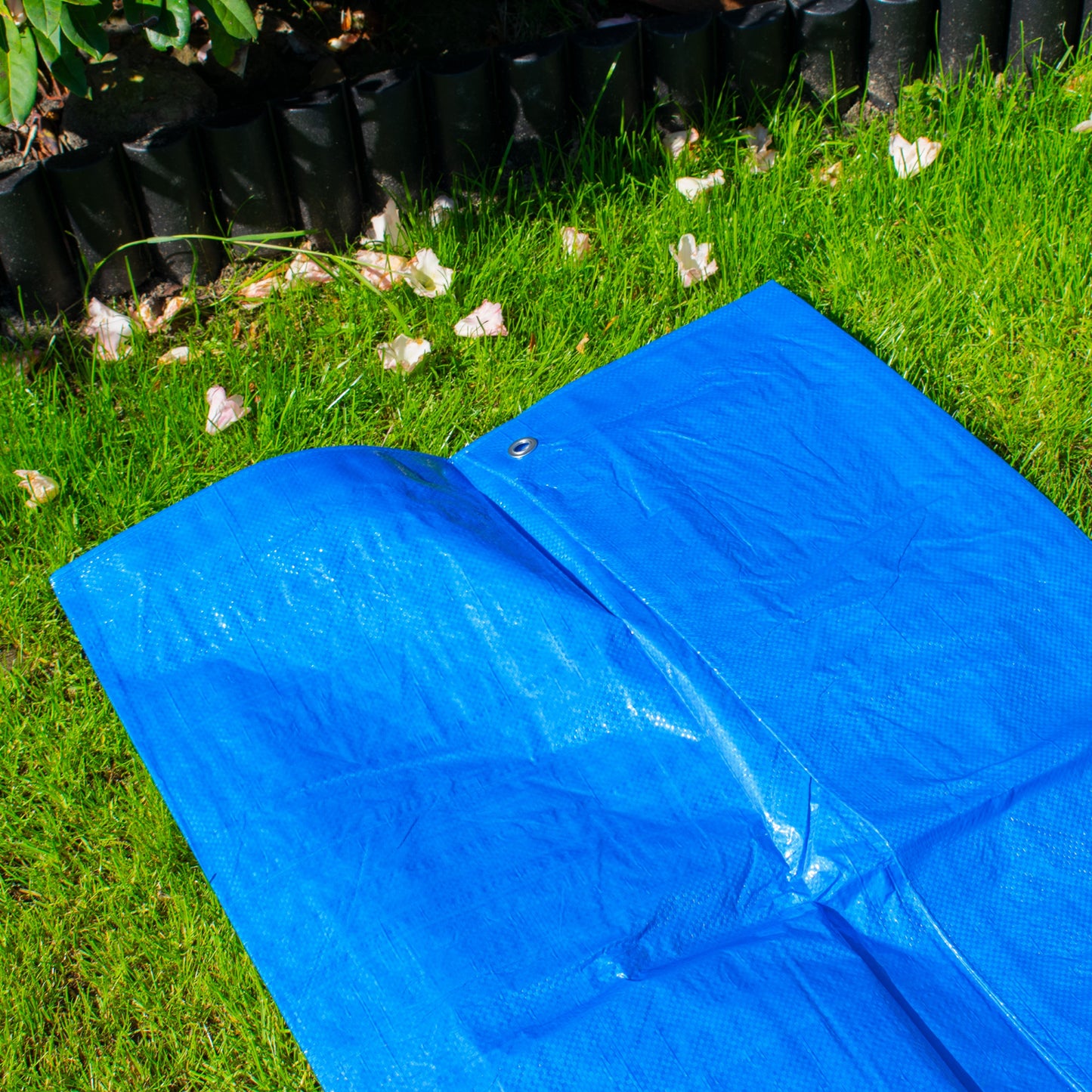 AP Supplies Blue S-Grade Tarpaulin with 10 x Bungee Balls (Black) - 2m x 2m
