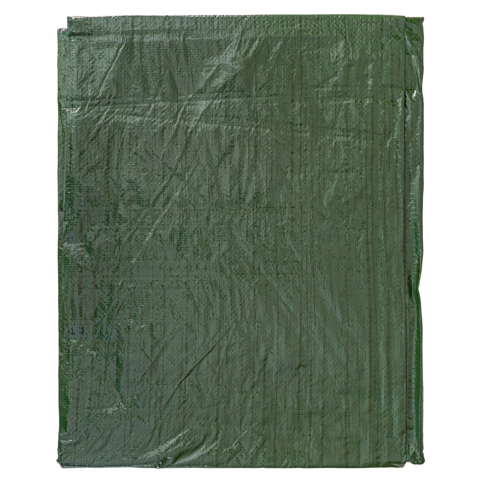AP Supplies Green M-Grade Tarpaulin with 10 x 6" Bungee Balls (Black) and 10 x Screw Type Tarp Clips - 4m x 5m
