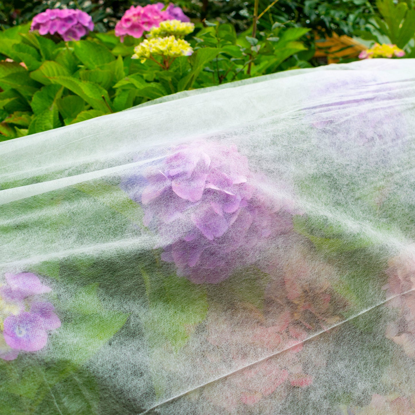 AP Supplies 17g Non-Woven Frost Protect Fleece 1.6m x 10m