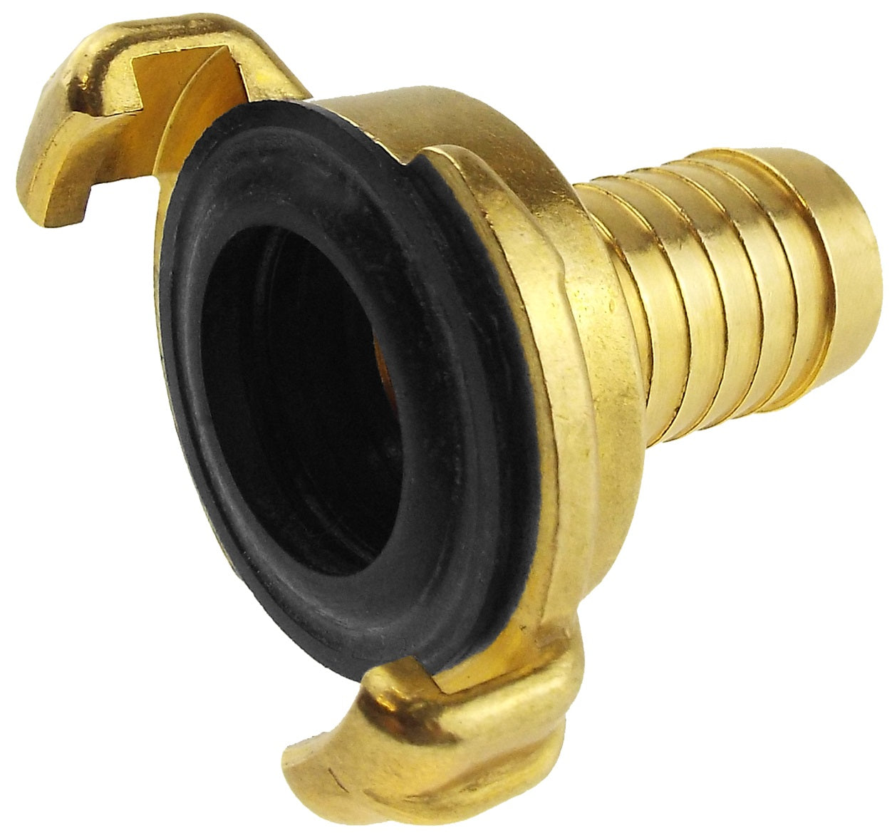 Claw Brass - 1in Hose Drip Irrigation Fitting DIY Workshop Accessory