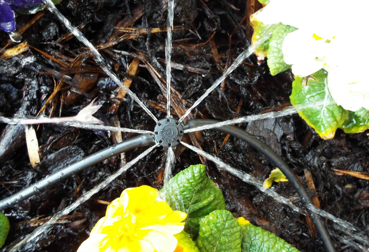 Antelco Shrubbler 360 Degree In-Line on Spike for Drip Irrigation Fitting